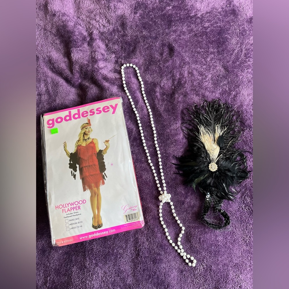 1920’s Flapper Dress Costume Size Large